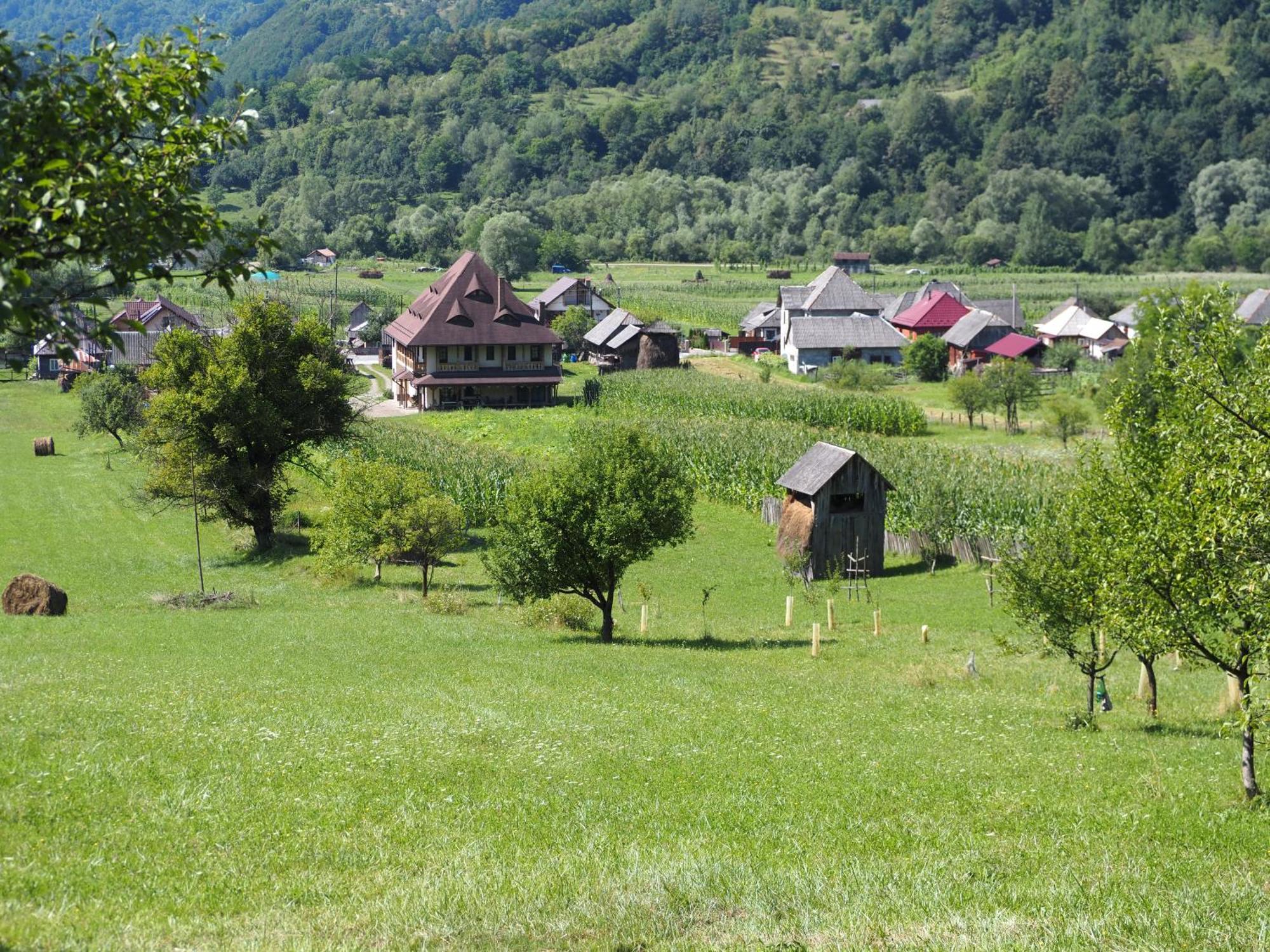 Pensiunea Sanziene Stramtura  Exterior photo