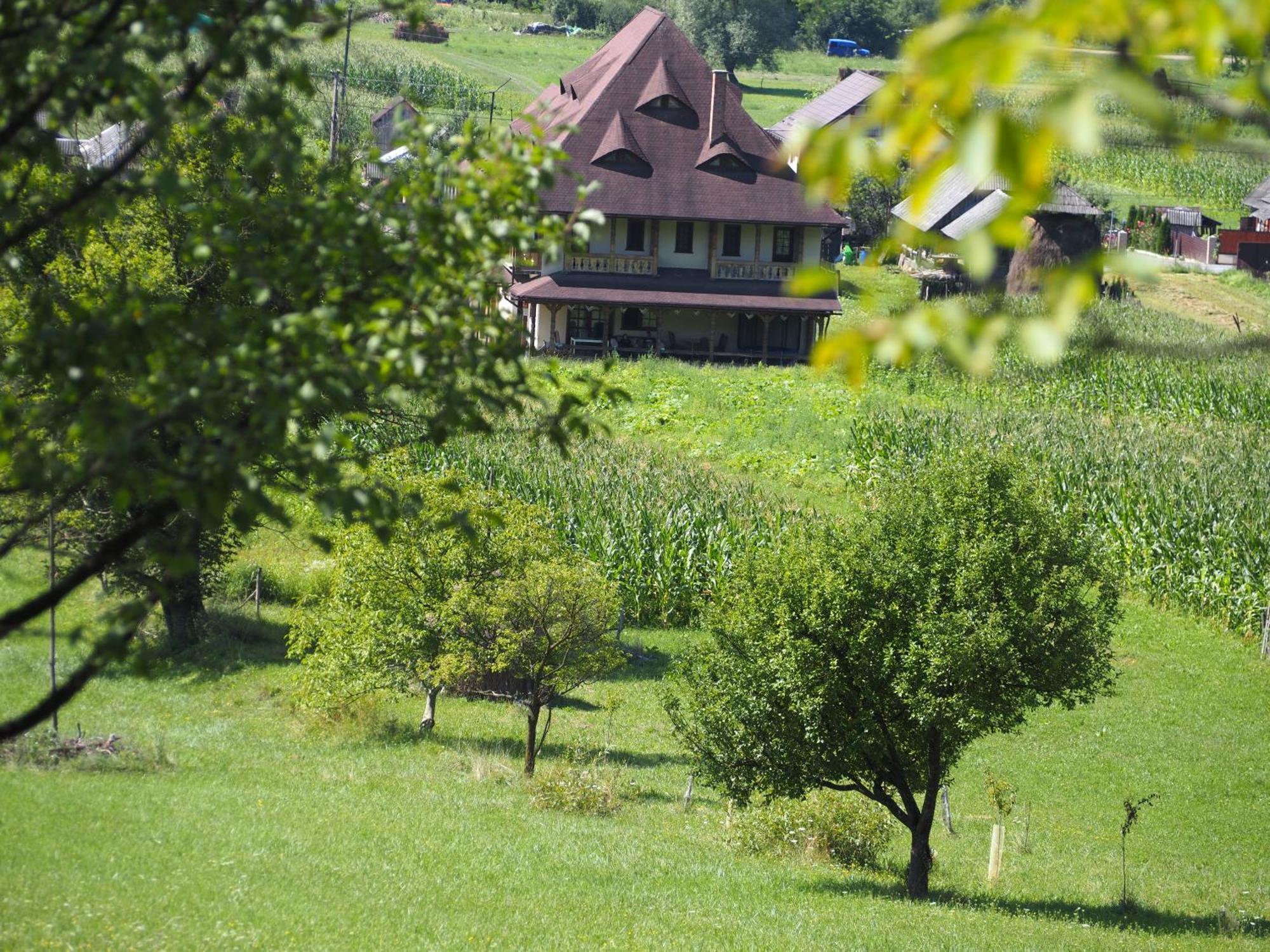 Pensiunea Sanziene Stramtura  Exterior photo