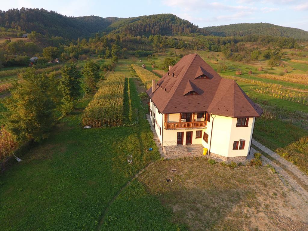 Pensiunea Sanziene Stramtura  Exterior photo